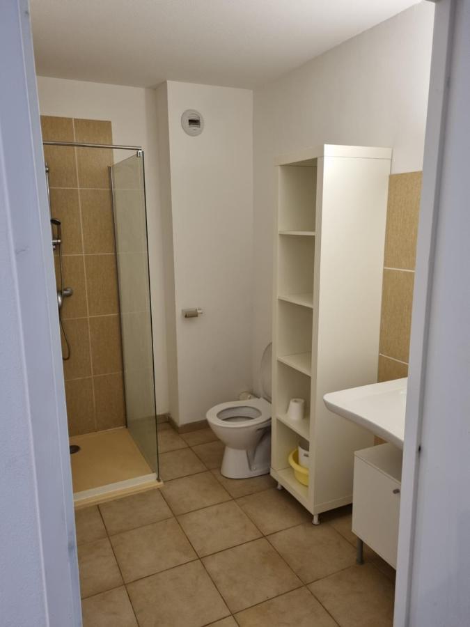 Appartement T2 Dans Residence Avec Piscine 莫里亚尼海滩 外观 照片